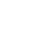 bosch.png