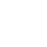 sebrae.png