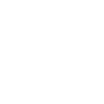 vivo.png
